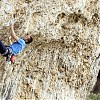 Stiqueul man 8b OS, St.Leger fot.Paweł Ochman