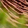Piaskowce w Siuranie fot.Mateusz Haładaj